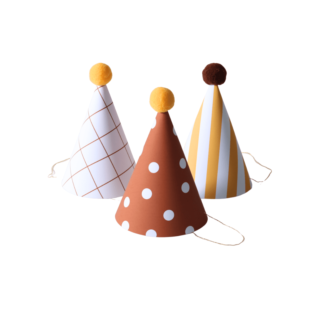 Chapeu Tradicional Variados - 3 unidades - Girafa